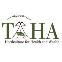  TAHA