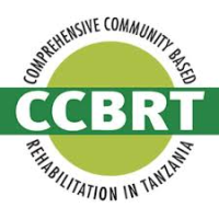 Occupational Therapist at CCBRT